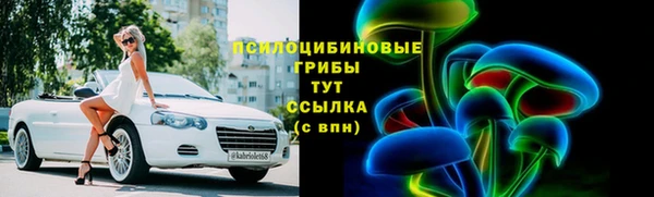 стафф Алзамай
