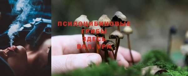 а пвп мука Алексеевка