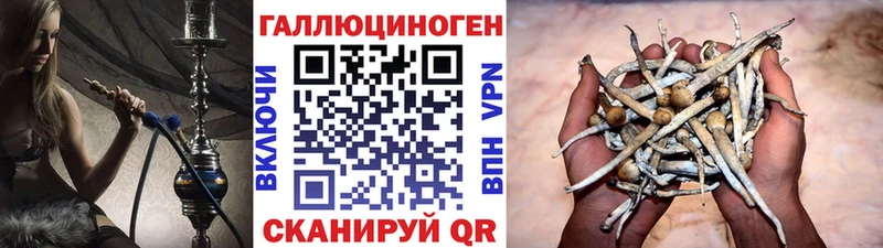 Галлюциногенные грибы Psilocybe  Анива 